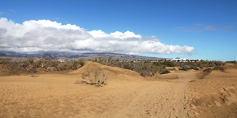 Image showing Spain. Gran Canaria island. Dunes of Maspalomas