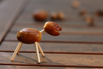 Image showing acorn animal