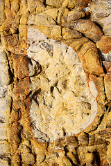 Image showing spain abstract texture of a broke 