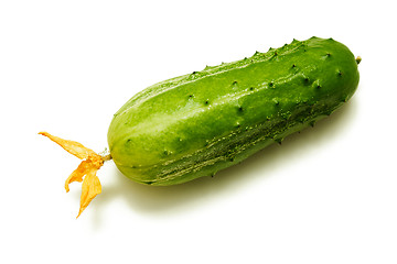 Image showing cucumber with a flower on a white background