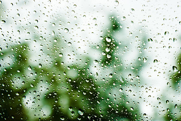 Image showing Drops of rain on glass