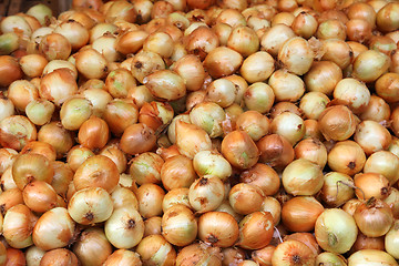 Image showing lot of onions