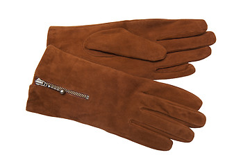 Image showing Gloves