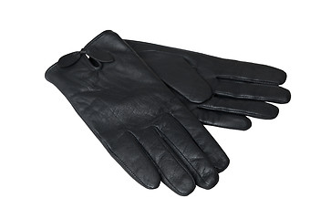 Image showing Gloves