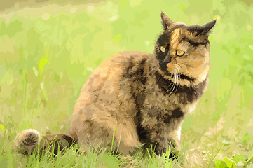 Image showing Cat