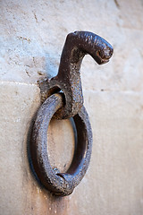 Image showing horses tether ring