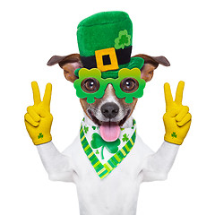 Image showing st patricks  day dog 