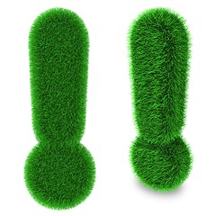 Image showing Exclamation mark made of grass