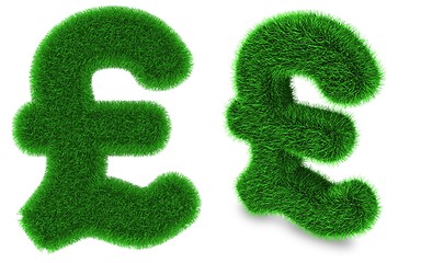 Image showing Pound sterling symbol made of grass