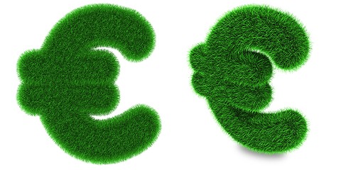 Image showing Euro currency symbol made of grass