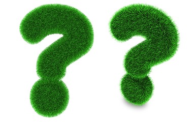 Image showing Question mark made of grass