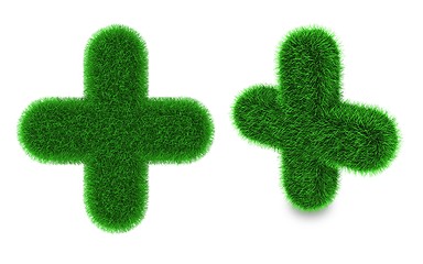 Image showing Plus sign made of grass