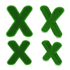 Image showing Letter X made of grass