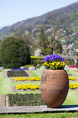 Image showing Villa Taranto garden