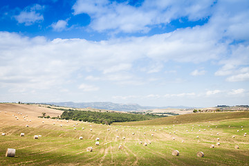 Image showing Tuscany country