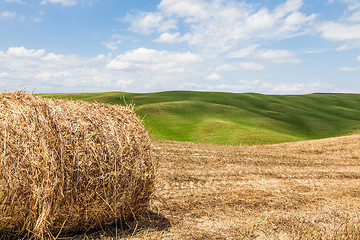 Image showing Tuscany agriculture