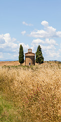 Image showing Tuscan country