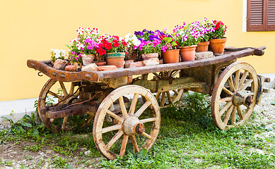 Image showing Tuscany flowers