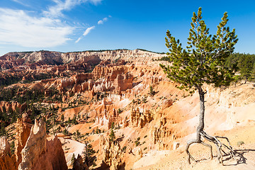 Image showing Bryce Canyon