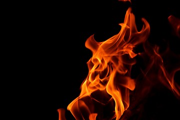 Image showing fire flame on black background