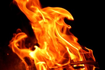 Image showing fire flame on black background