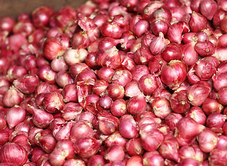 Image showing Red onion