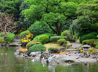 Image showing Garden in Japan