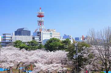 Image showing Wakayama in Japan