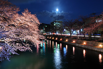 Image showing Lake biwa canal with sakura at night