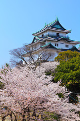 Image showing Wakayama castle