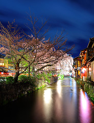 Image showing Sakura and traditional house in kyoto