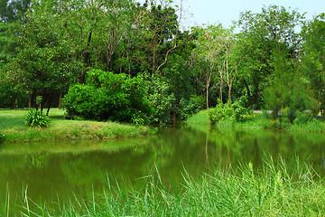 Image showing Forest with lake