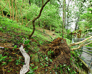 Image showing Damage after typhoon