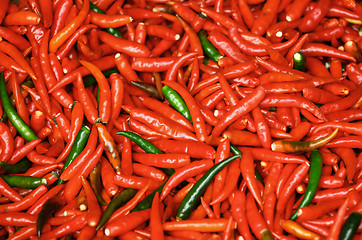 Image showing Red chili pepper