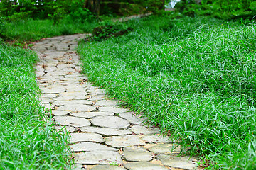 Image showing Stone path in forest