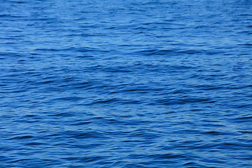 Image showing Sea surface