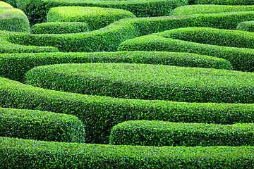 Image showing Labyrinth garden