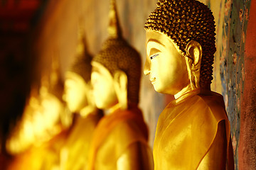 Image showing Row of golden buddha statue