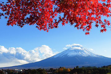 Image showing Mountain Fuji with maple tree