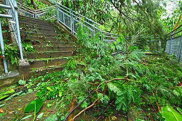 Image showing Destroy after typhoon