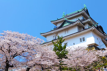 Image showing Wakayama Castle with sakura