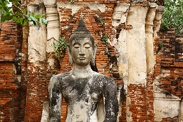 Image showing Buddha statue in Ayutthaya