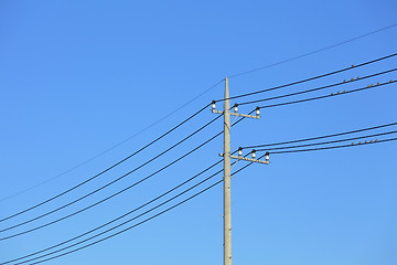 Image showing Powerline