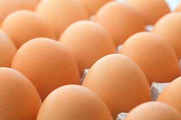 Image showing Egg close up