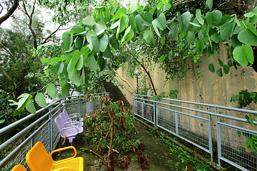 Image showing Typhoon damage