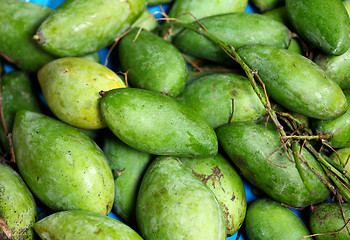 Image showing Green mango in street market