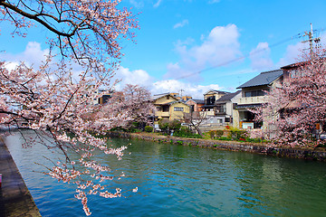 Image showing Traditional house in Japan with sakura