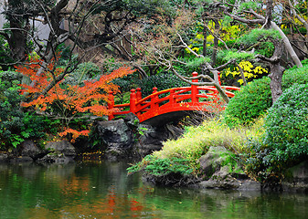 Image showing Japanese garden