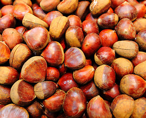 Image showing Chestnut