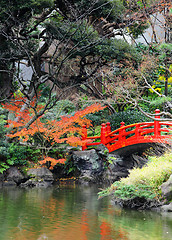 Image showing Red bridge in Japanese garden